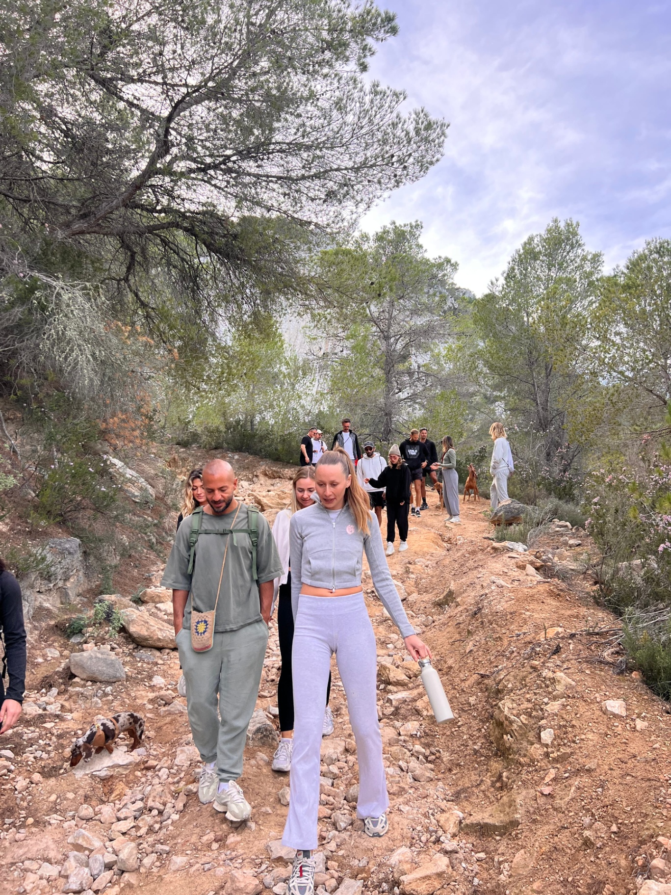 Jurassic Cave, hikers on the pine-lined trail through the forest