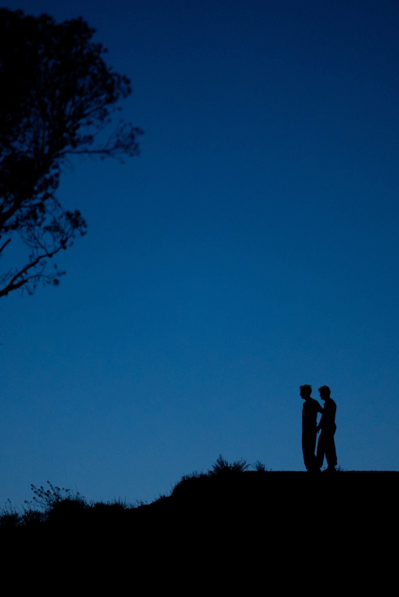 Woweee Sunset, blue hour silhouettes on the ridge