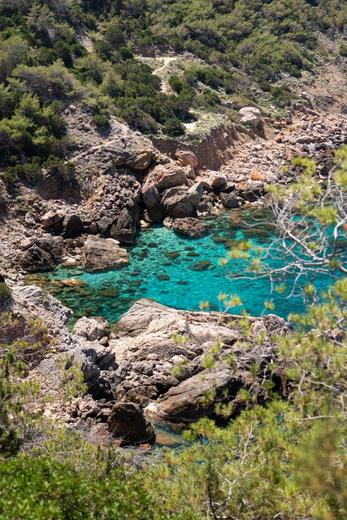 Dreamscape, hidden turquoise cove framed by pines and rugged rocks