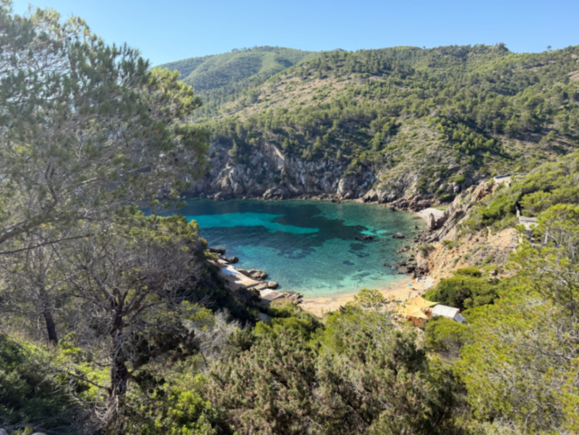 Tower of Light, turquoise bay framed by pine trees and hills