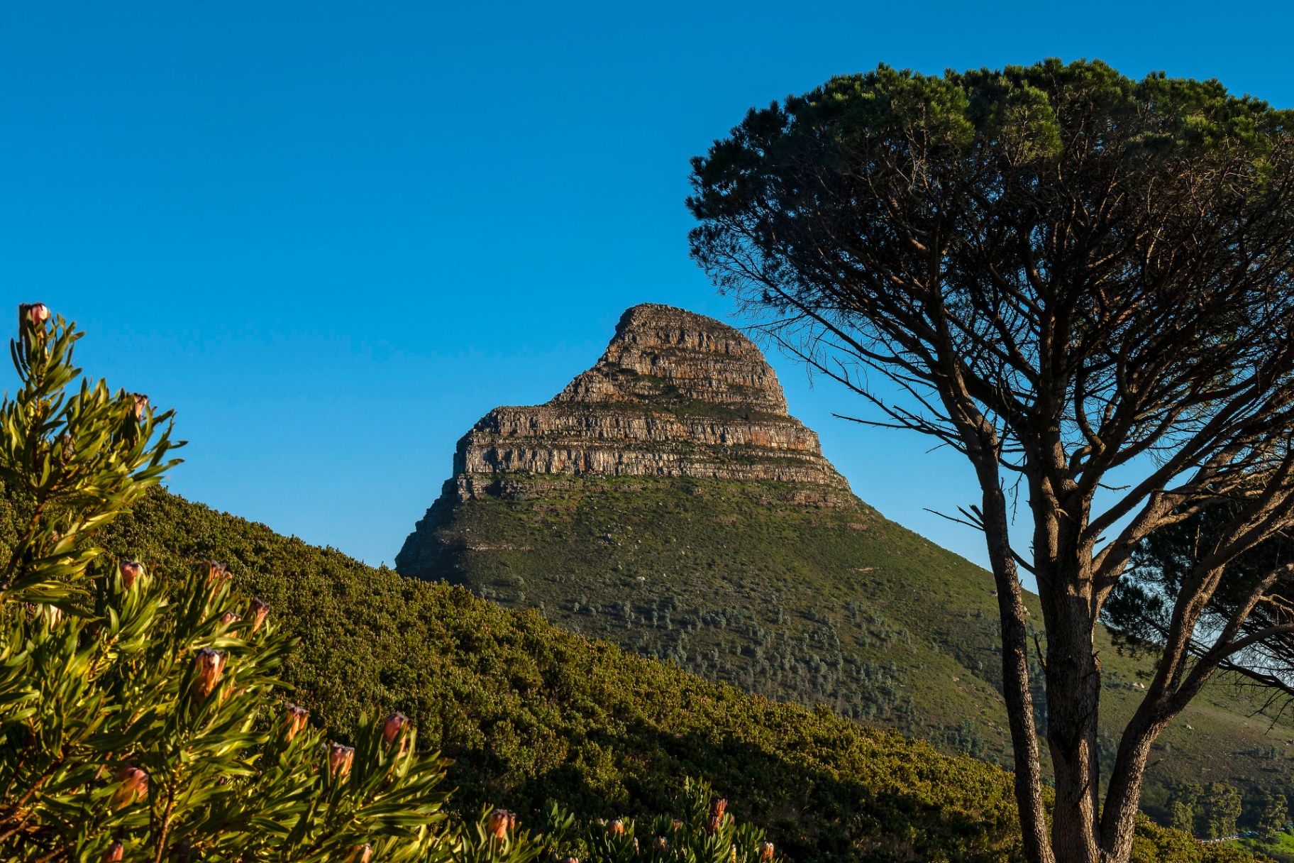 Cape Town hikes hero, Lion's Head at sunset