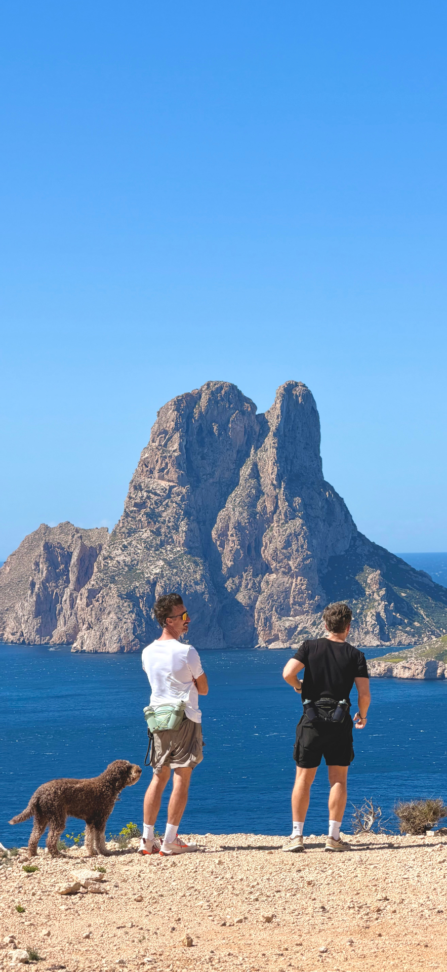 Es Vedra view